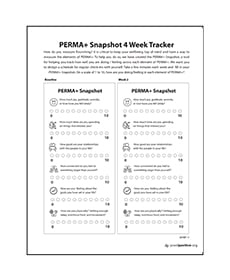 PERMA+ Snapshot 4 week tracker