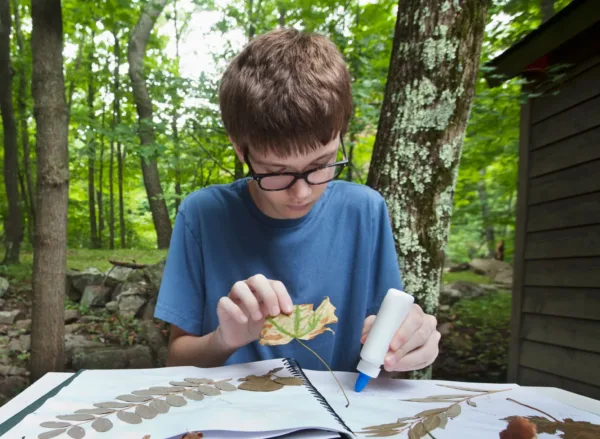 400x293_TEACH_PosPort Teenage boy with glasses and a blue shirt sitting outside gluing leaves onto a canvas, sitting in front of green trees.