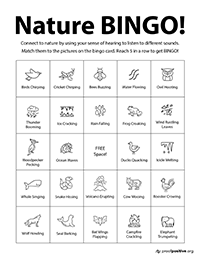 Nature BINGO thumbnail