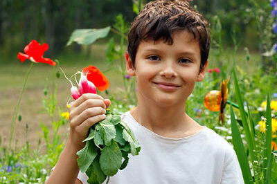 400x293_GardeningBlog A young boy with brown hair and white t-shirt outside in a garden holding up radishes and smiling.