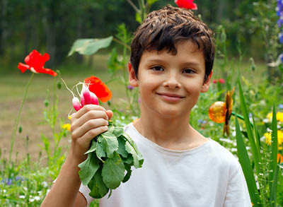 400x293_GardeningBlog A young boy with brown hair and white t-shirt outside in a garden holding up radishes and smiling.