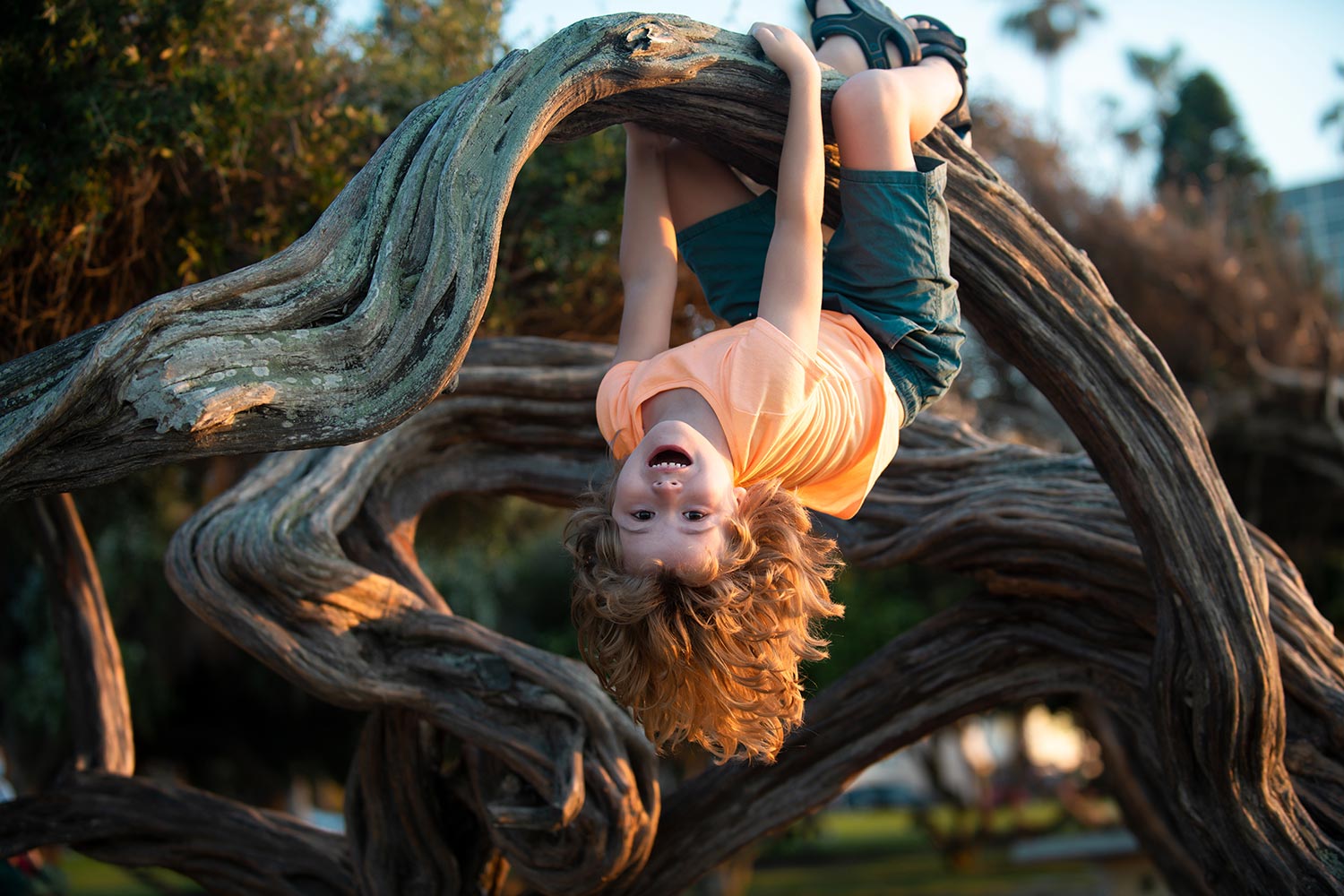 child climbing a tree