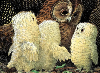 400x293_OwlBabies (1) Owl babies